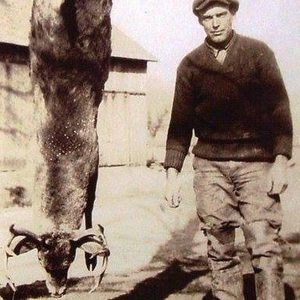 Meet your Posher, Steven